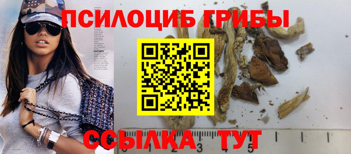 Долгопрудный  Псилоцибиновые грибы прущие грибы  Вход с VPN 