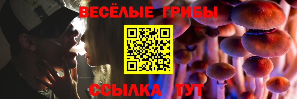 Галлюциногенные грибы GOLDEN TEACHER Долгопрудный